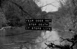 Fear does not stop death it stops life #quotes #inspirational