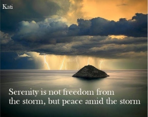 serenity-is-not-freedom-from-the-storm-but-peace-amid-the-storm.jpg