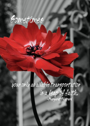 Red Flower Quote Photograph