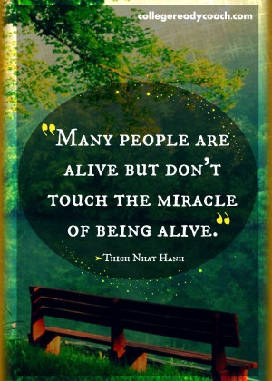 Touch the miracle of being alive. --Thich Nhat Hanh #quote