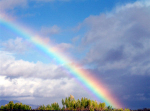 Finding God in a Rainbow (FindingGodDaily.com)
