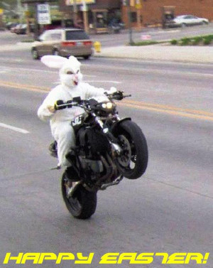 easter bunny wheelie Image