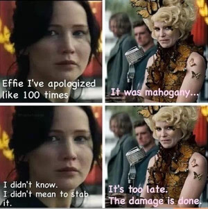 Lol haha funny / Hunger Games Humor / Effie / Katniss / Catching Fire
