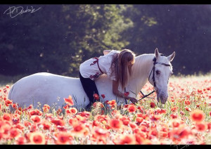So pretty. Wish I was horse back riding in a field of flowers