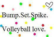 mia hamm volleyball qoute jpg can live with volleyball qoute jpg ...