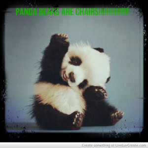 cute, panda bears are chairs, pretty, quote, quotes