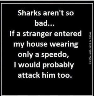 Related Pictures image funny shark week quote jpg