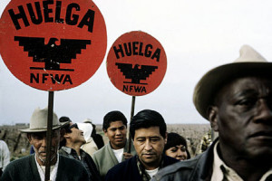 Fighting for Farm Workers' Rights: Cesar Chavez, the Delano Grape ...