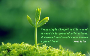 Powerful Quotes HD Wallpaper 5