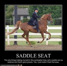 sotrue I ♡ Saddleseat!! More