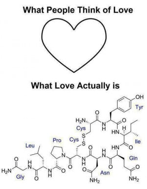 Biology-of-love.jpg