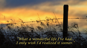 298 beautiful photos with meaningful quotes