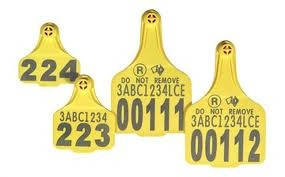 Looking for your own personalized livestock tags call me for a quote