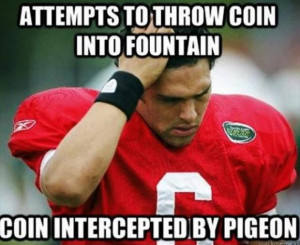 funny nfl pictures (18)