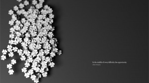 Albert Einstein Quote HD Wallpaper