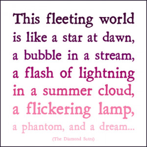 Fleeting World Magnet