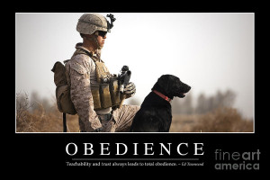 Obedience Inspirational Quote Photograph