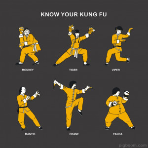 Know Your Kung Fu