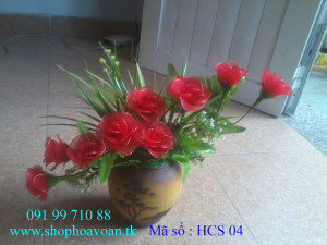 Shop Hoa Voan Ánh Bình Minh