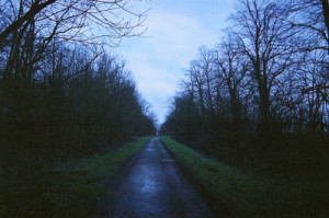 dark, nature, road, sky, trees