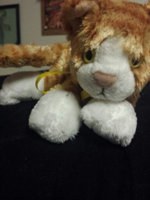 Our Family Mascot! TSM.