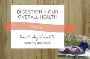 Found on delvespot.com