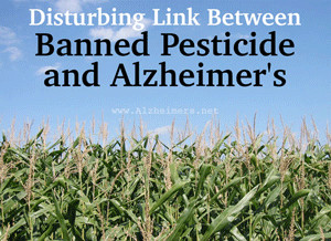 Disturbing Link Between Banned Pesticide, DDT, and Alzheimer’s