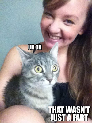 Funny photos funny cat surprised face big eyes