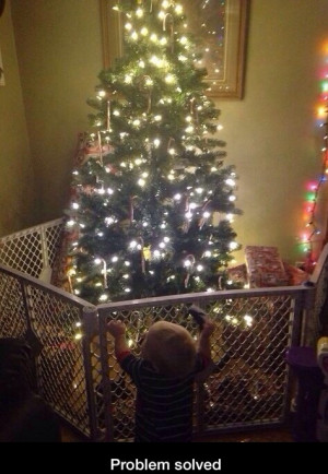 Protect Your Christmas Tree