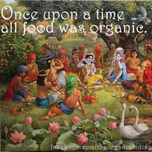 Once upon a time all food was organic.