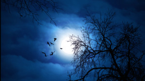 Low Level Eloquent Liberator