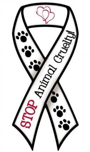 stop animal cruelty quotes. Cat abuse is on the rise in