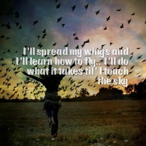 Quotes Picture: i'll spread my wings and i'll learn how to fly i'll do ...