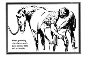 Basic Horse Safety Manual