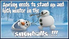 ... spring quote winter snow cold lol funny quote funny quotes humor