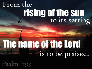 Funny Quotes Contact Dmca