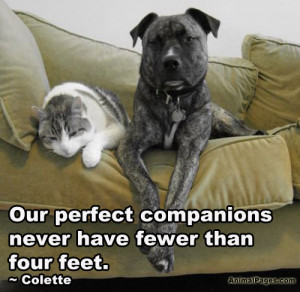 Our perfect companions never have fewer than four feet.