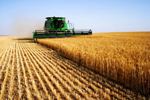 Shareholder demands to shape modern agriculture