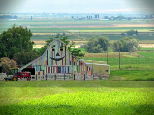 My grandparents’ barn loves being a barn