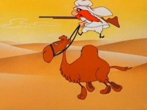 Whoa camel! Whoa camel!