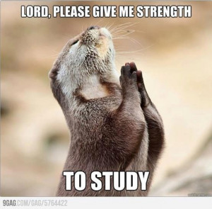 Found on sphotos-a.xx.fbcdn.net