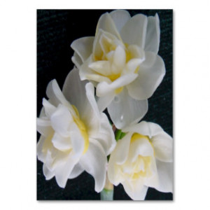 Jonquil Flower - Ecclesiastes 3:1 Tract Card / Business Cards