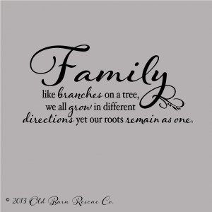 Tree Quotes About Family Family like branches on a tree