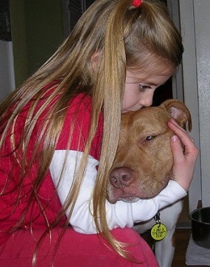 Source: http://stubbydog.org/2012/03/a-life-changing-pit-bull/