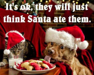 funny christmas dog pic santa ate it