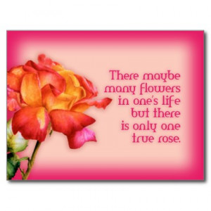 Painted quote fine art rose postcard by Mylittleeden