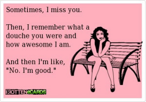 Sometimes I Miss You Then I Remember What A Douche You Were And How ...