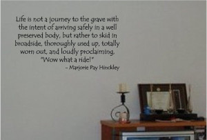 Wow What A Ride - Marjorie Pay Hinckley - Vinyl Wall Decal Sticker Art