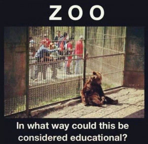 stop animal captivity