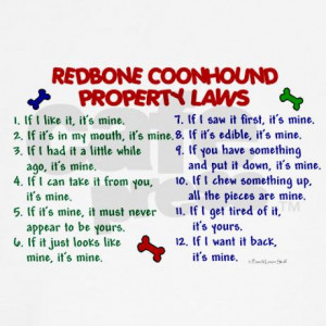 redbone_coonhound_property_laws_2_teddy_bear.jpg?color=White&height ...